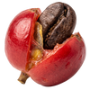 Hover Image