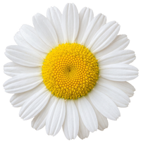 Box Image