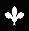 Icon 1