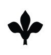 Icon 2
